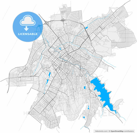 Simferopol, Crimea, Ukraine, high resolution vector map - Instant download PDF and JPG
