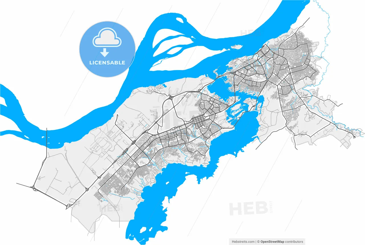 Ciudad Guayana, Venezuela, high resolution vector map - Instant download PDF and JPG