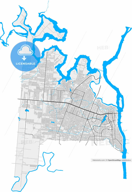 Ciudad del Este, Paraguay, high resolution vector map - Instant download PDF and JPG