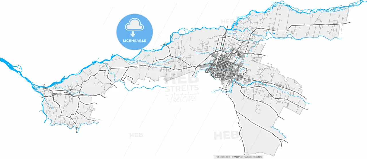 Chillan, Chile, high resolution vector map - Instant download PDF and JPG