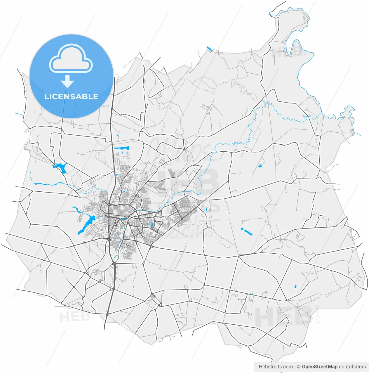 Araras, Brazil, high resolution vector map - Instant download PDF and JPG