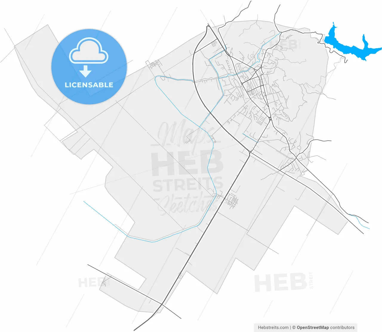 Lushnjë, Albania, high resolution vector map - Instant download PDF and JPG