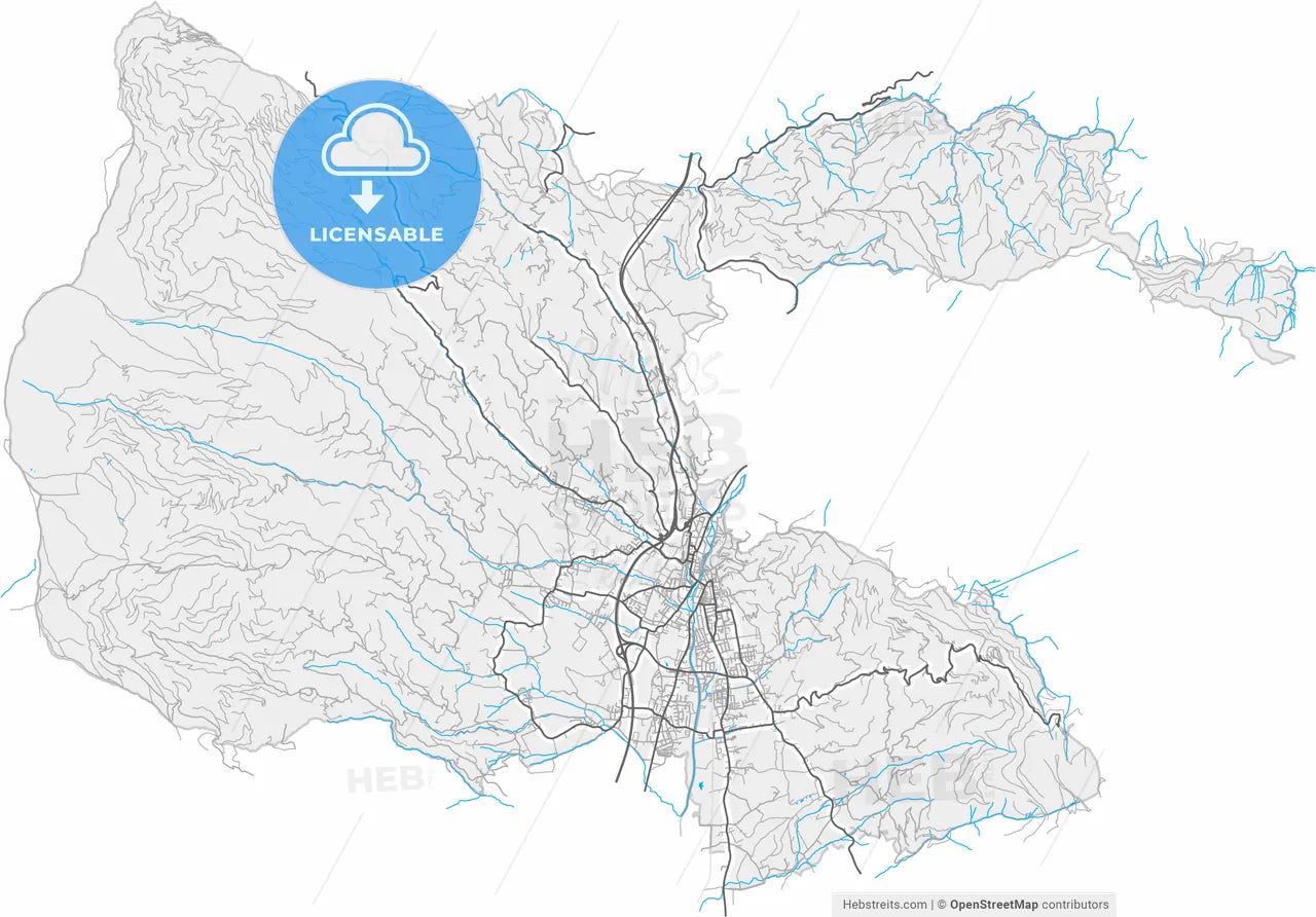 Wolfsberg, Carinthia, Austria, high resolution vector map - Instant download PDF and JPG