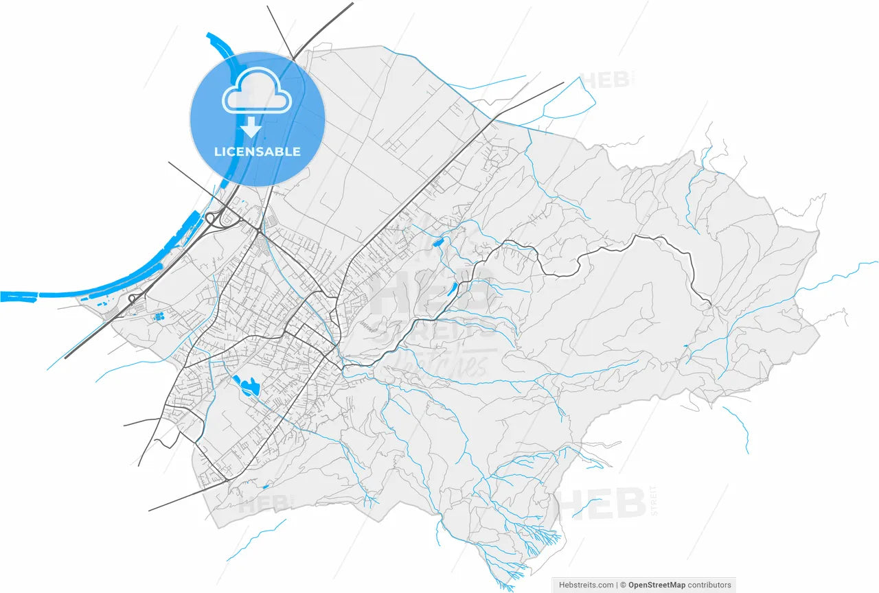 Hohenems, Vorarlberg, Austria, high resolution vector map - Instant download PDF and JPG