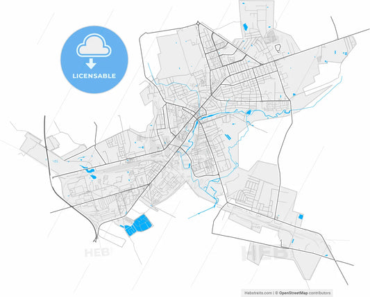 Slutsk, Rajon, Belarus, high resolution vector map - Instant download PDF and JPG