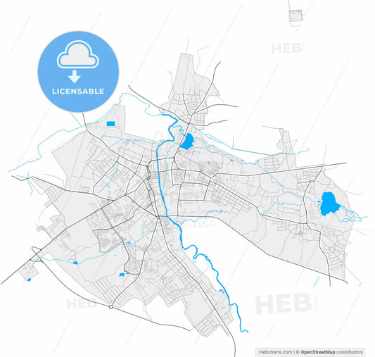 Slonim, Rajon, Belarus, high resolution vector map - Instant download PDF and JPG