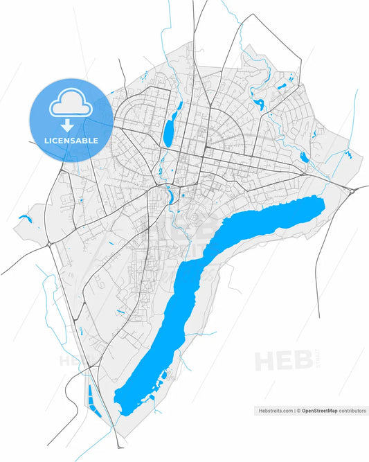Viljandi, Viljandi, Estonia, high resolution vector map - Instant download PDF and JPG