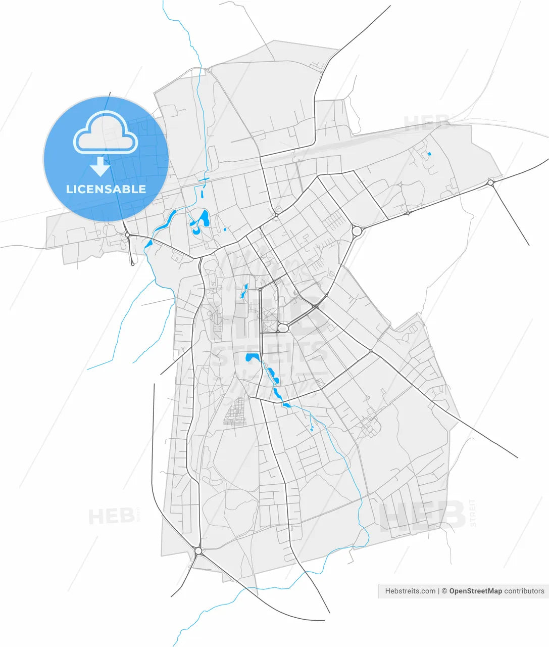 Rakvere, Lääne-Viru, Estonia, high resolution vector map - Instant download PDF and JPG