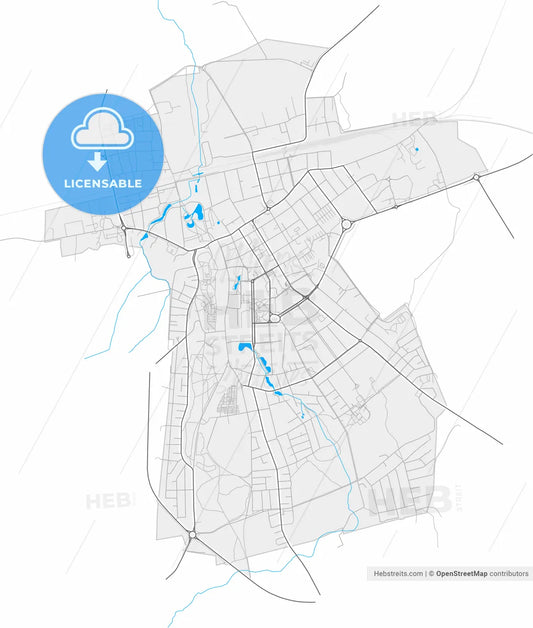 Rakvere, Lääne-Viru, Estonia, high resolution vector map - Instant download PDF and JPG