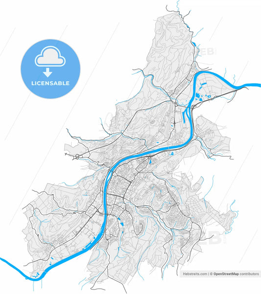 Trier, Rheinland-Pfalz, Germany, high resolution vector map - Instant download PDF and JPG