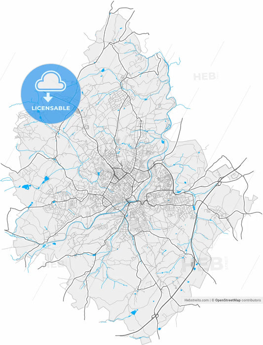 Plauen, Saxony, Germany, high resolution vector map - Instant download PDF and JPG