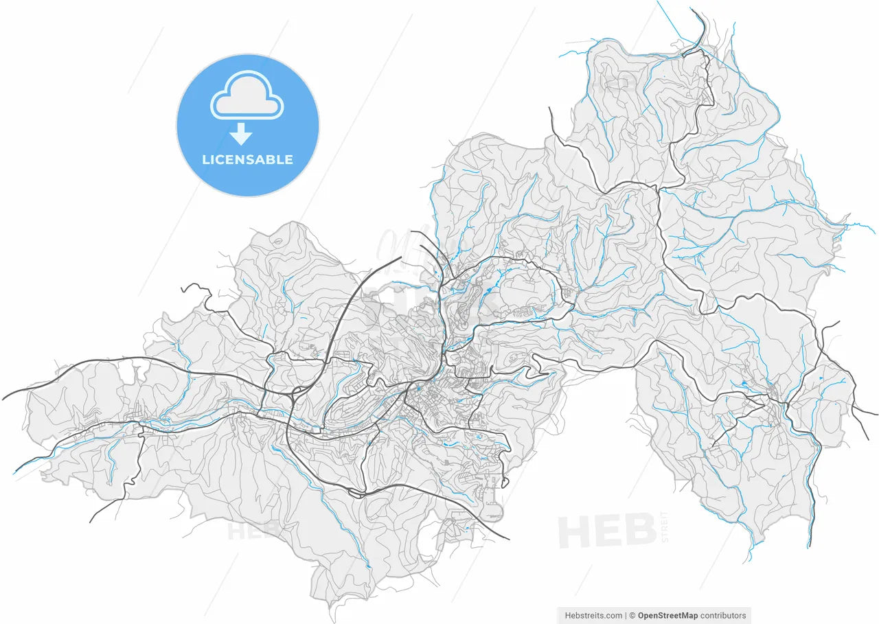 Suhl, Thuringia, Germany, high resolution vector map - Instant download PDF and JPG