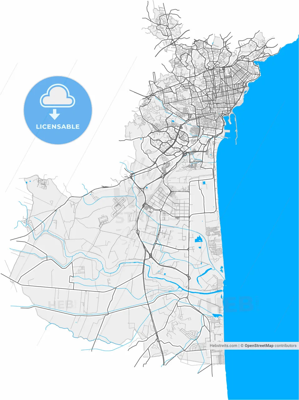 Catania, Sicily, Italy, high resolution vector map - Instant download PDF and JPG