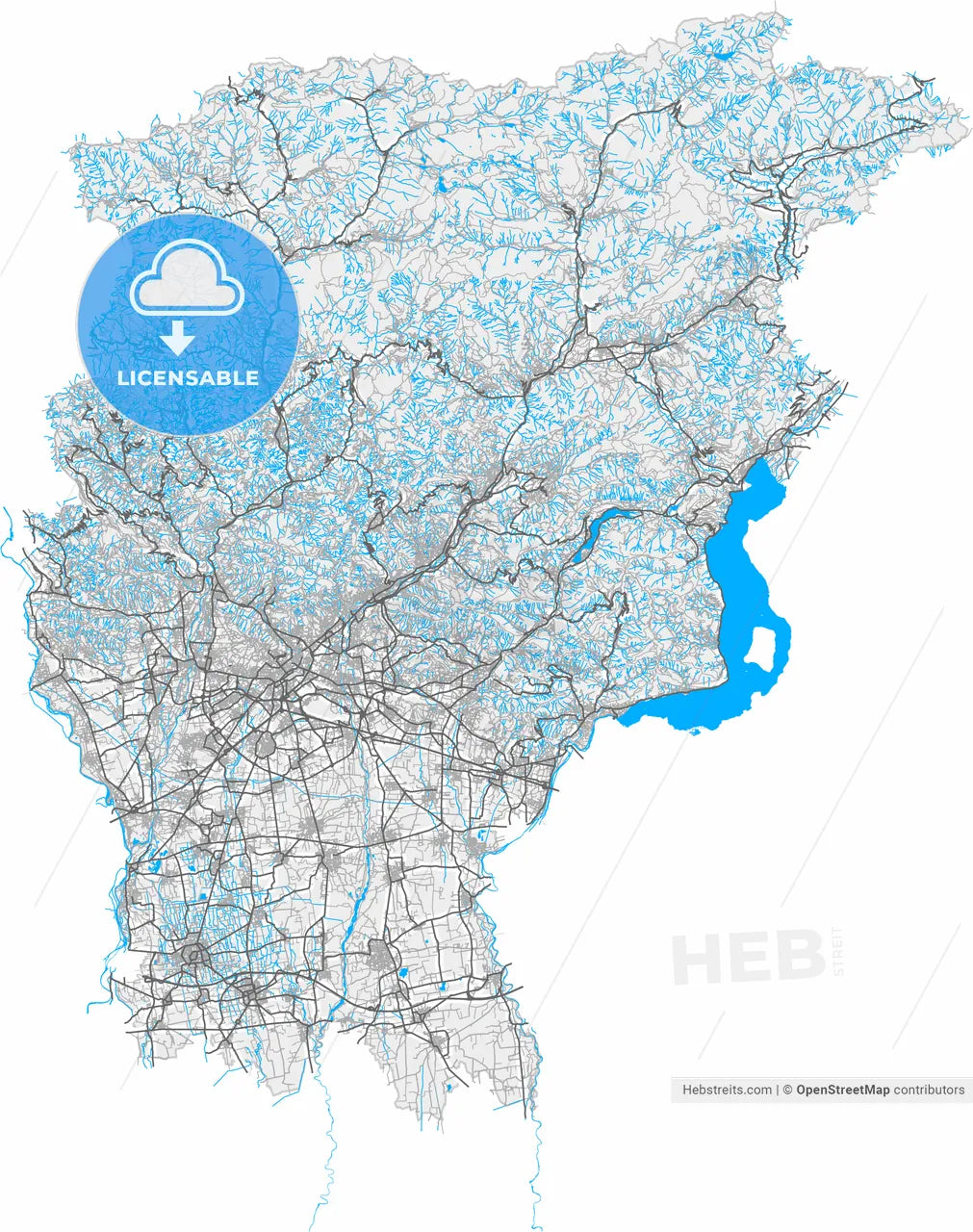 Bergamo, Lombardy, Italy, high resolution vector map - Instant download PDF and JPG