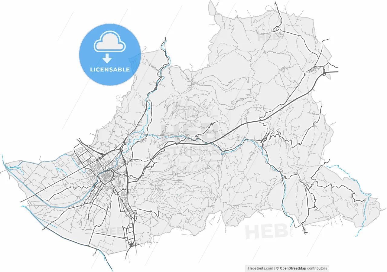 Foligno, Umbria, Italy, high resolution vector map - Instant download PDF and JPG
