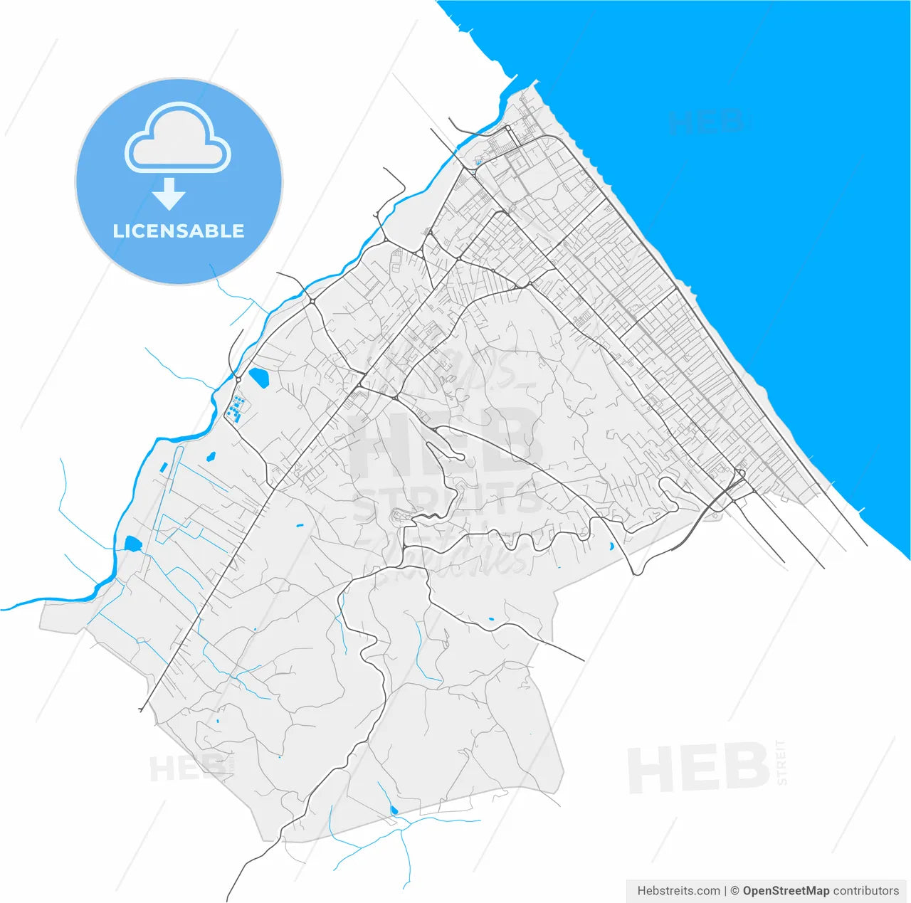 Montesilvano, Abruzzo, Italy, high resolution vector map - Instant download PDF and JPG