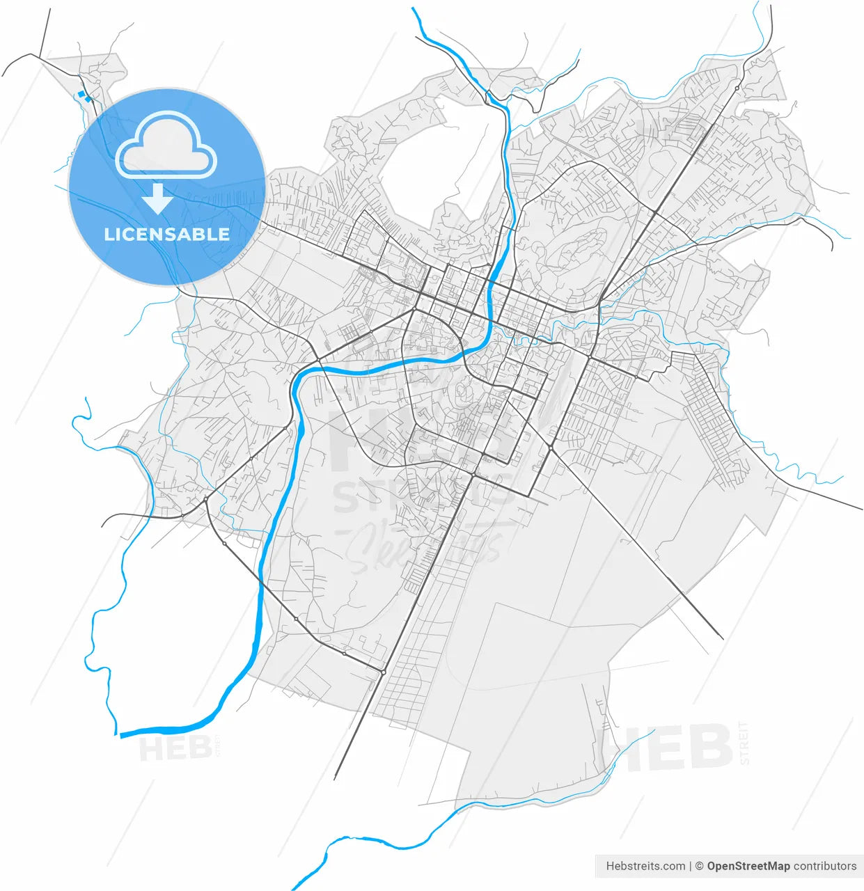 Podgorica, Central, Montenegro, high resolution vector map - Instant download PDF and JPG