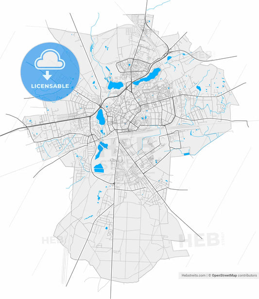 Gniezno, Greater Poland, Poland, high resolution vector map - Instant download PDF and JPG