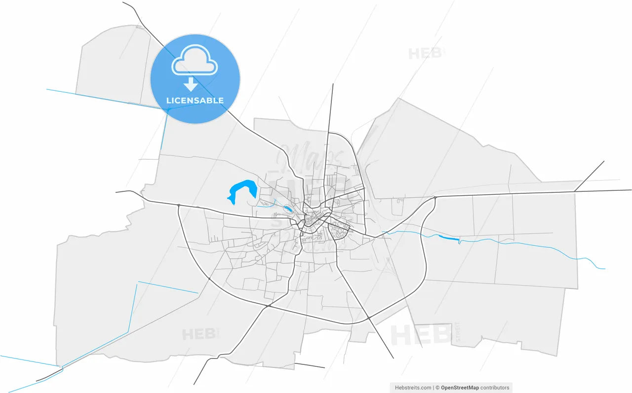 Caracal, Olt, Romania, high resolution vector map - Instant download PDF and JPG