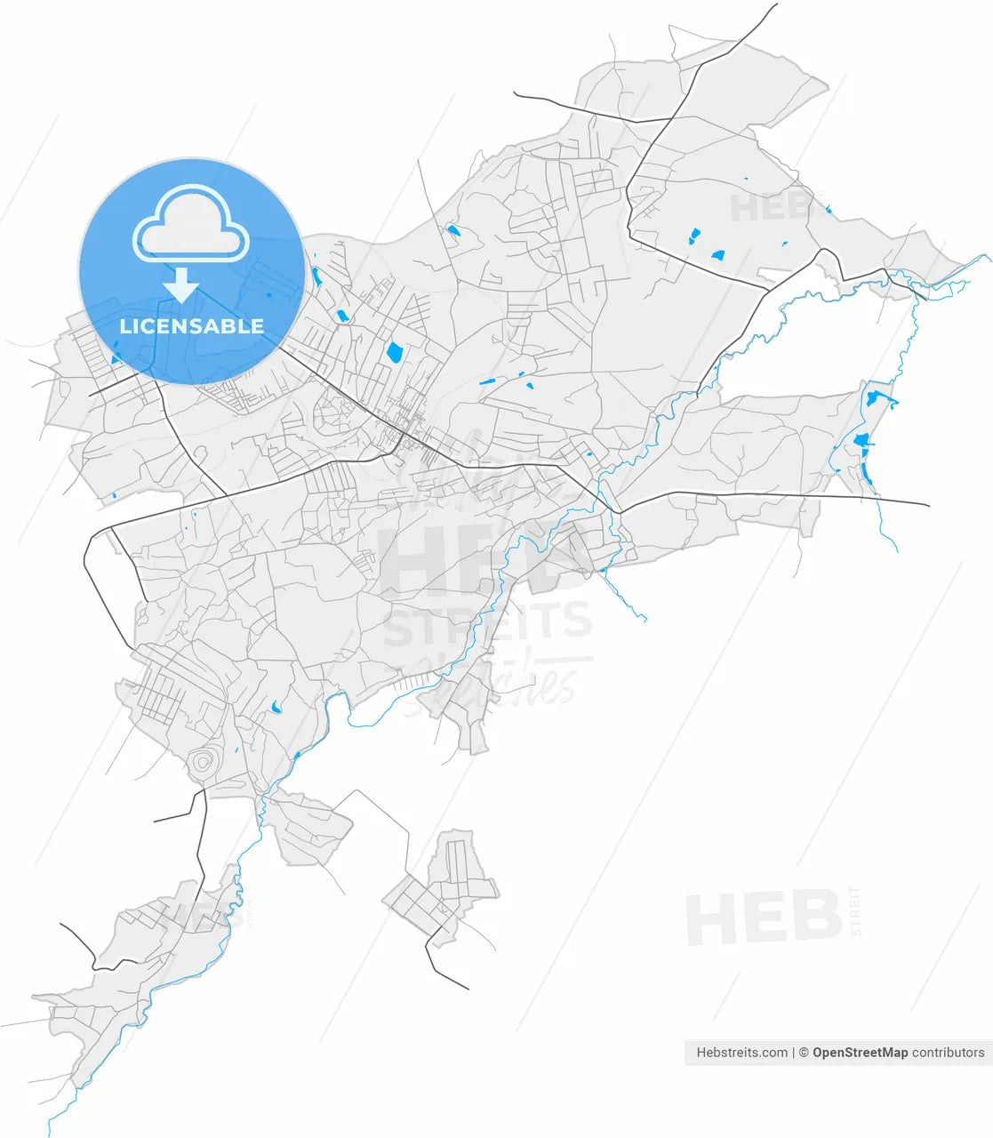 Brianka, Luhansk Oblast, Ukraine, high resolution vector map - Instant download PDF and JPG