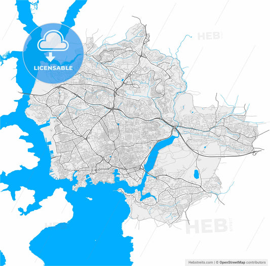 Plymouth, South West England, England, high resolution vector map - Instant download PDF and JPG