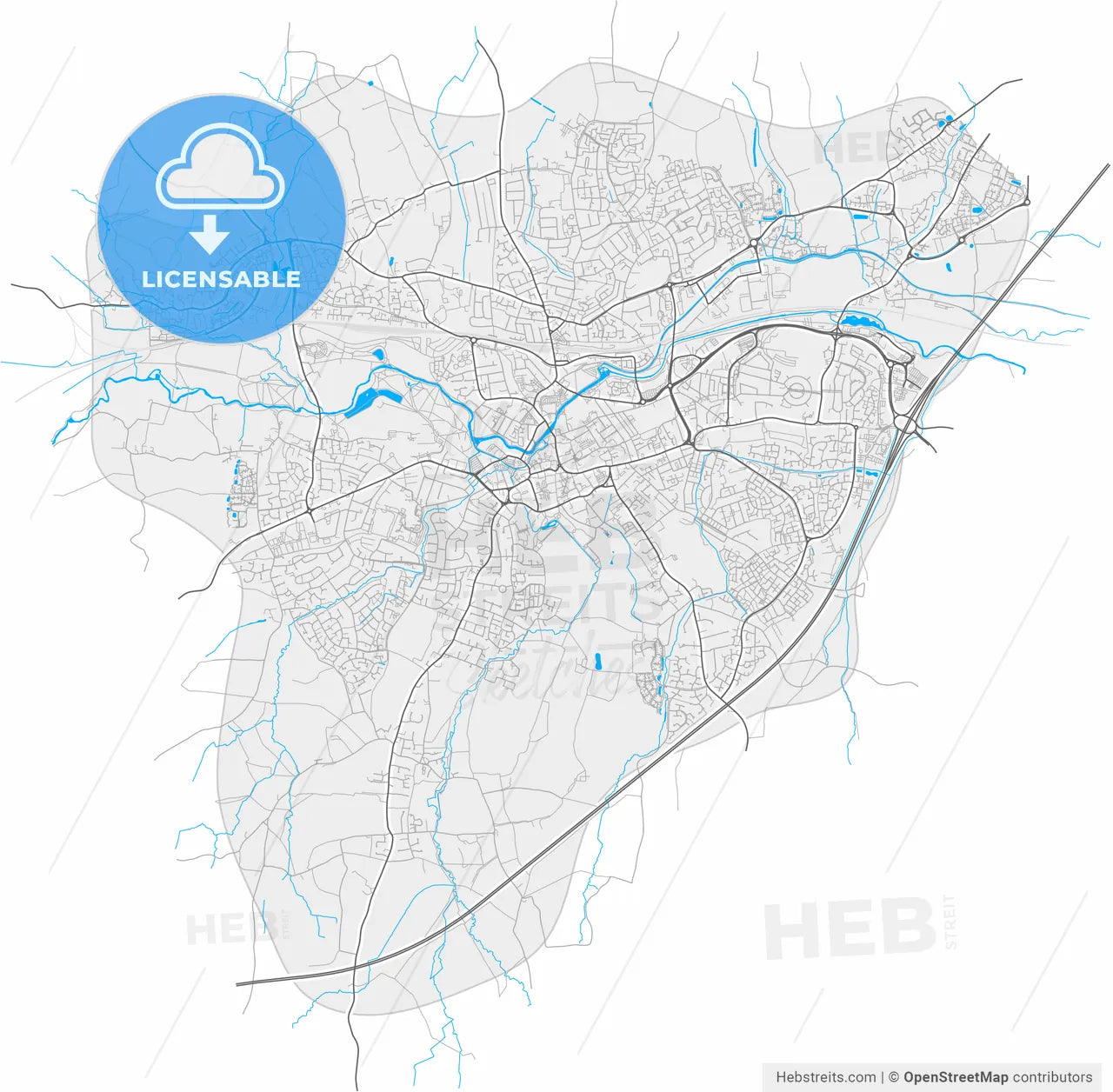 Taunton, South West England, England, high resolution vector map - Instant download PDF and JPG