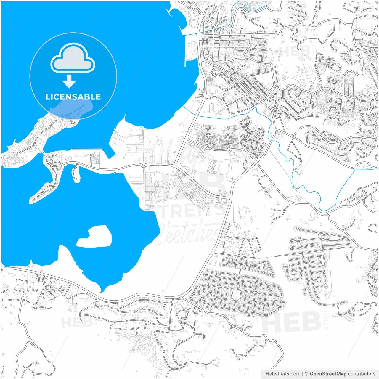 Kingston, Saint James, Jamaica, city map with high resolution roads.