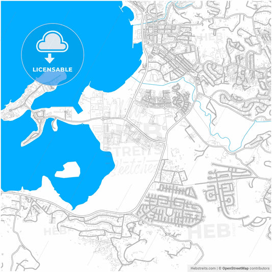 Kingston, Saint James, Jamaica, city map with high resolution roads.