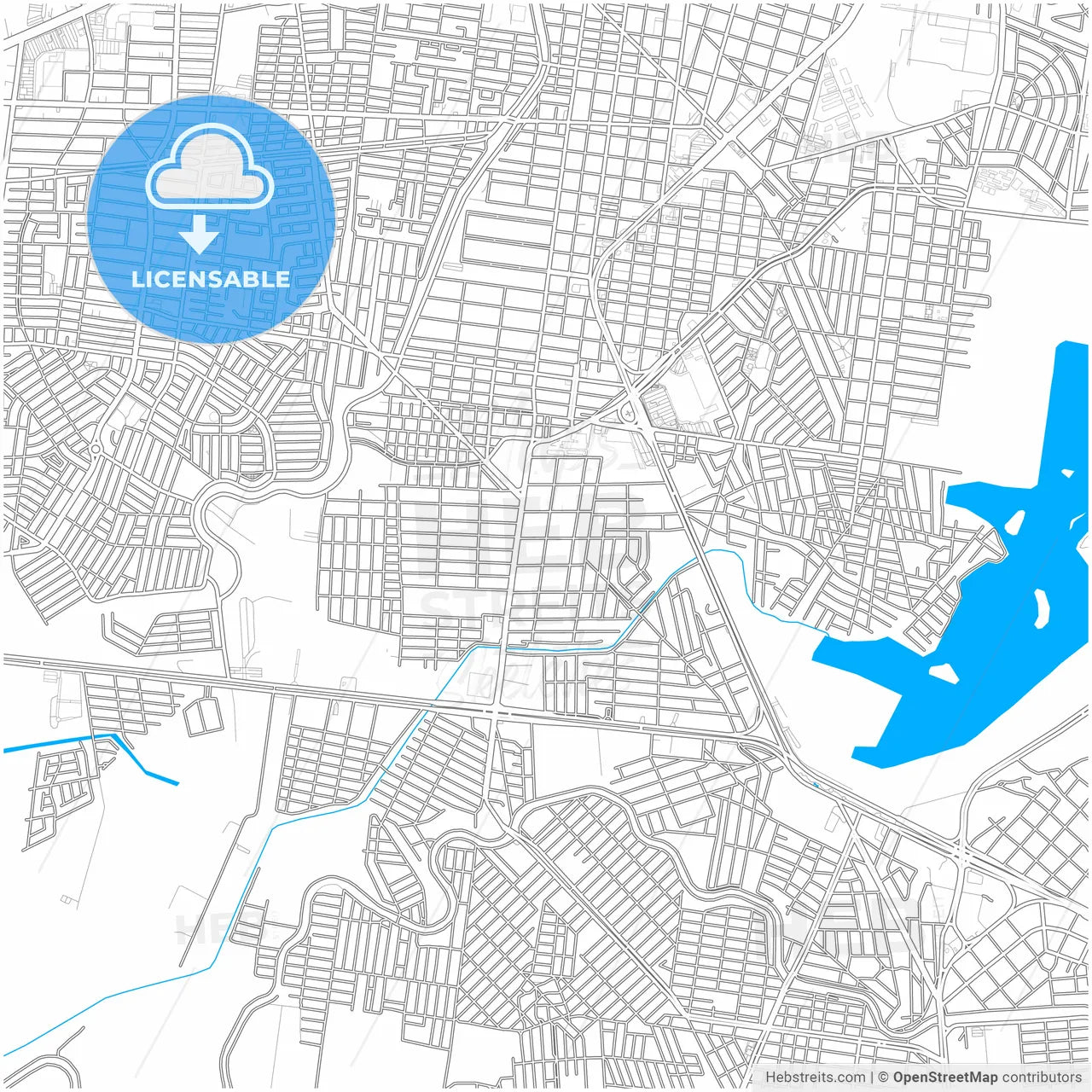 Reynosa, Tamaulipas, Mexico, city map with high resolution roads.