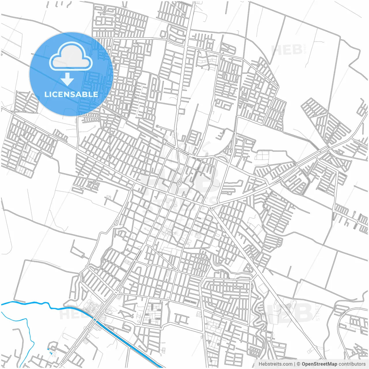 Zamora, Michoacán, Mexico, city map with high resolution roads.