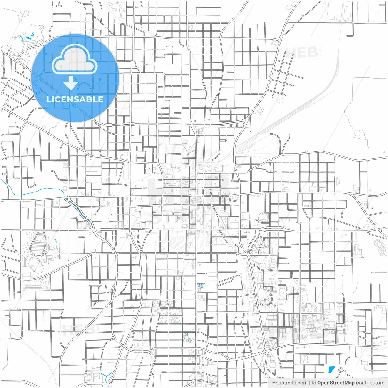 Tyler, Texas, United States, city map with high resolution roads.