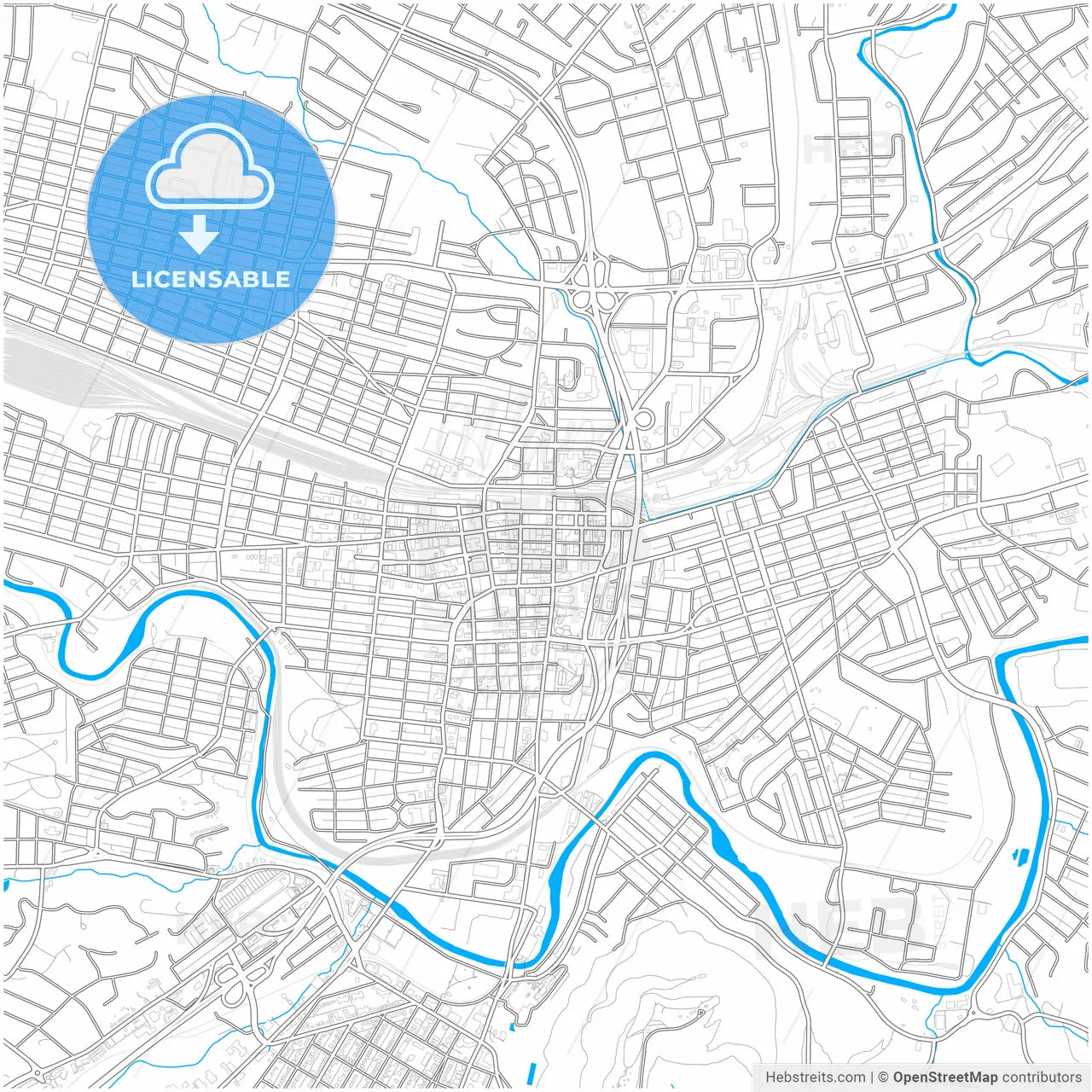 Roanoke, Virginia, United States, city map with high resolution roads.