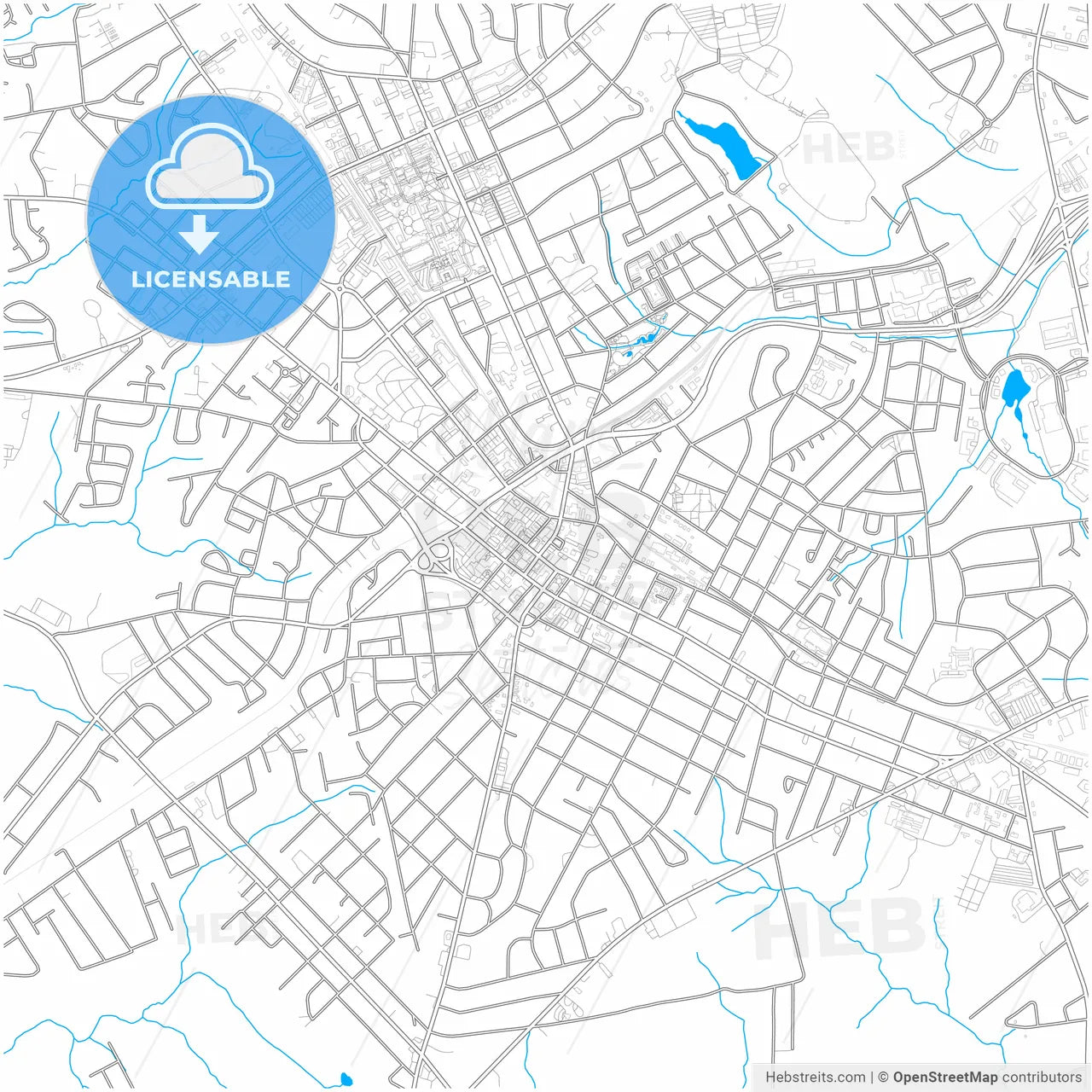 Rock Hill, South Carolina, United States, city map with high resolution roads.