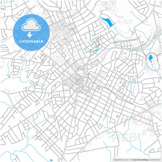 Rock Hill, South Carolina, United States, city map with high resolution roads.
