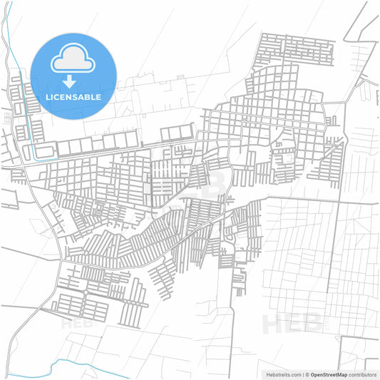 Palo Negro, Venezuela, city map with high resolution roads.