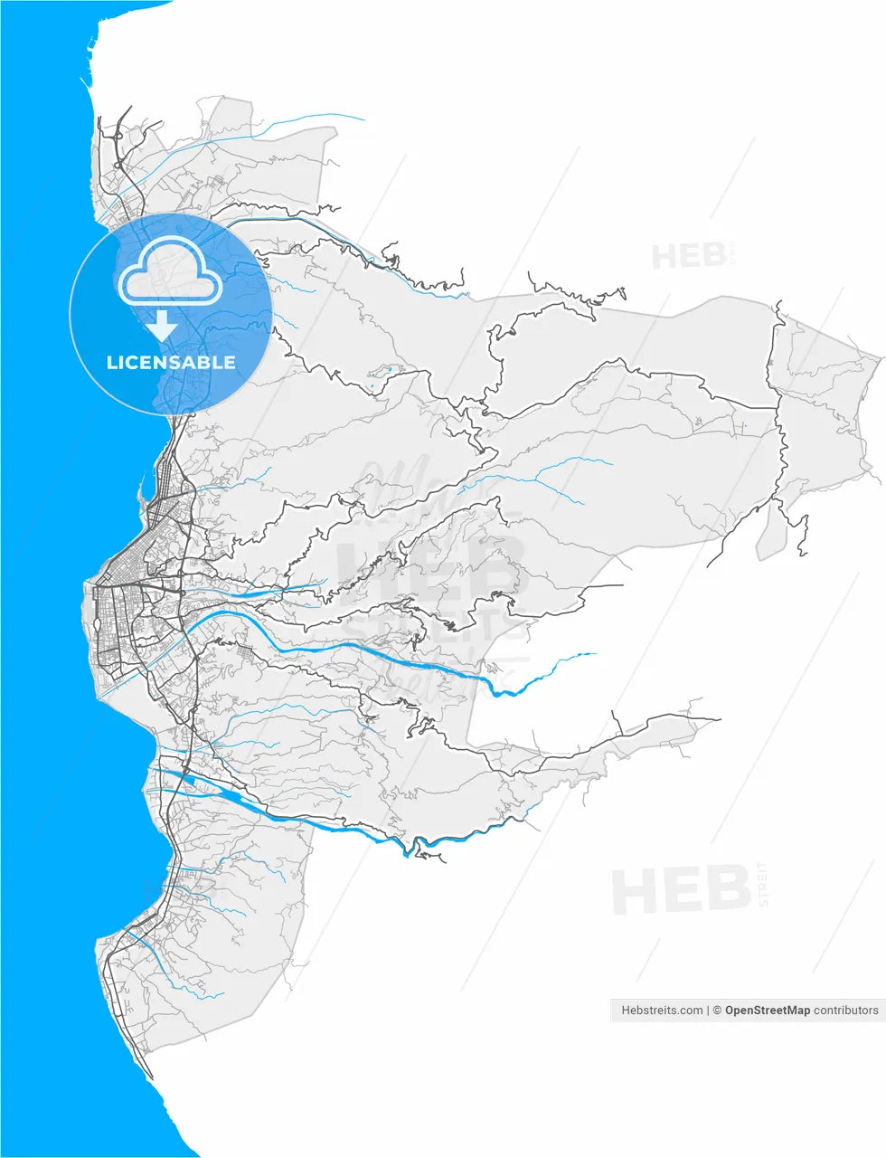 Reggio Calabria, Calabria, Italy, high resolution vector map - Instant download PDF and JPG