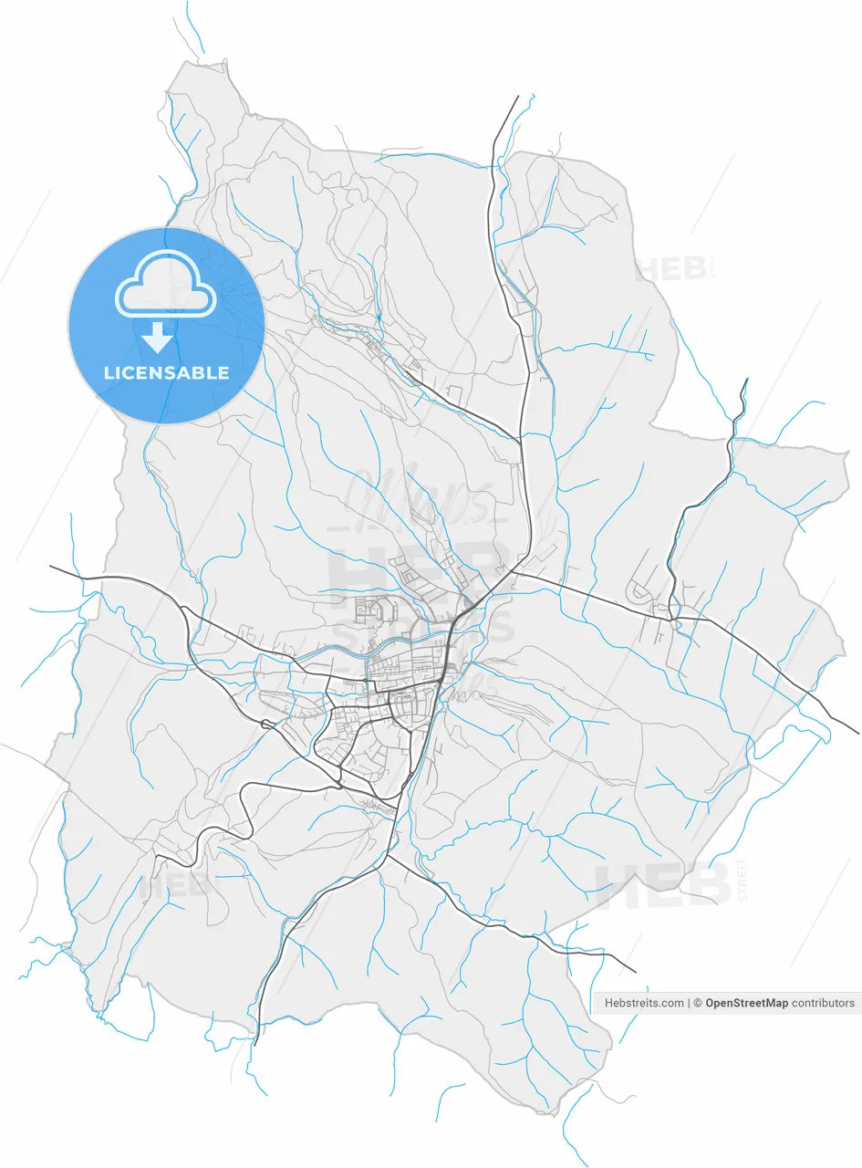 Bardejov, Prešov Region, Slovakia, high resolution vector map - Instant download PDF and JPG