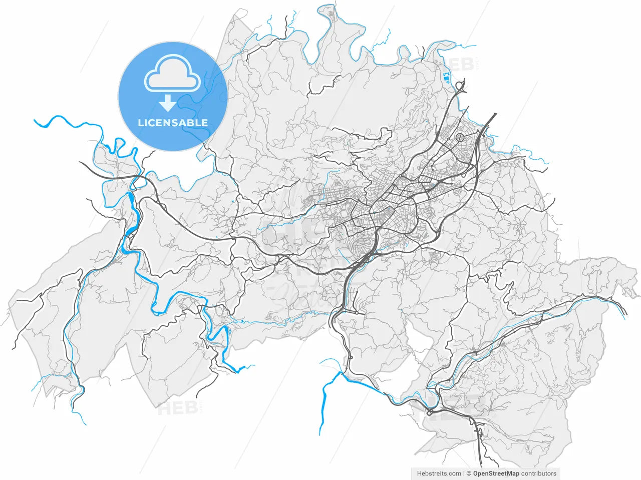 Oviedo, Asturias, Spain, high resolution vector map - Instant download PDF and JPG