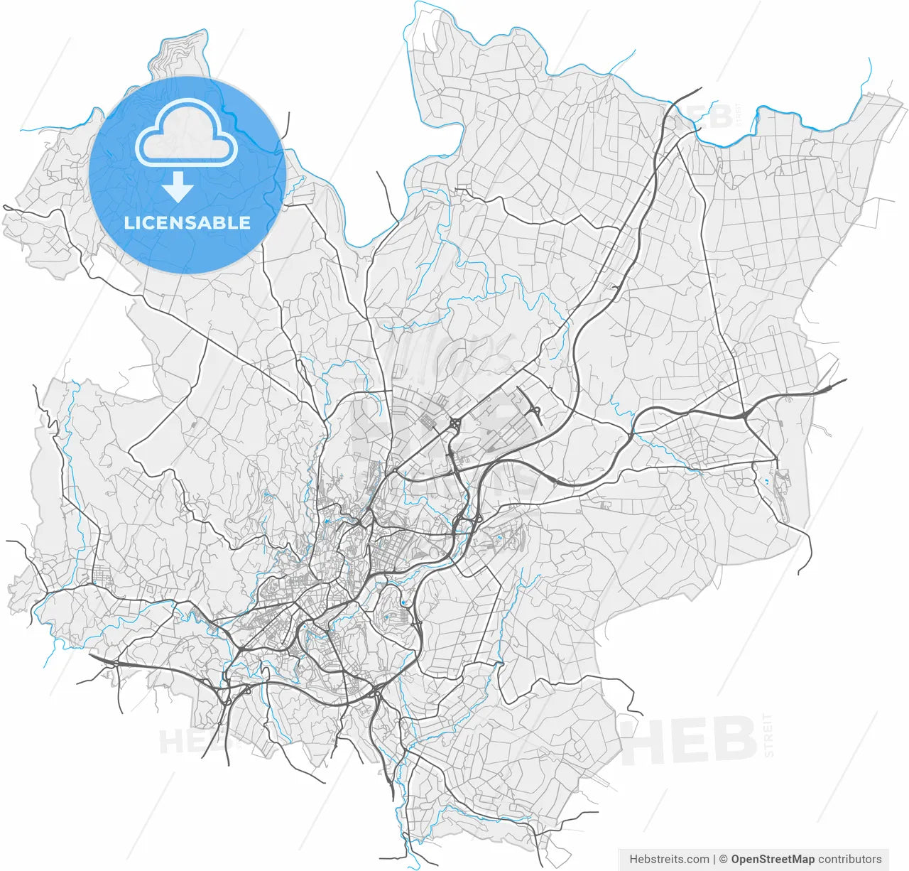 Santiago de Compostela, A Coruña, Spain, high resolution vector map - Instant download PDF and JPG