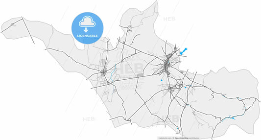 Bor, Niğde, Turkey, high resolution vector map - Instant download PDF and JPG
