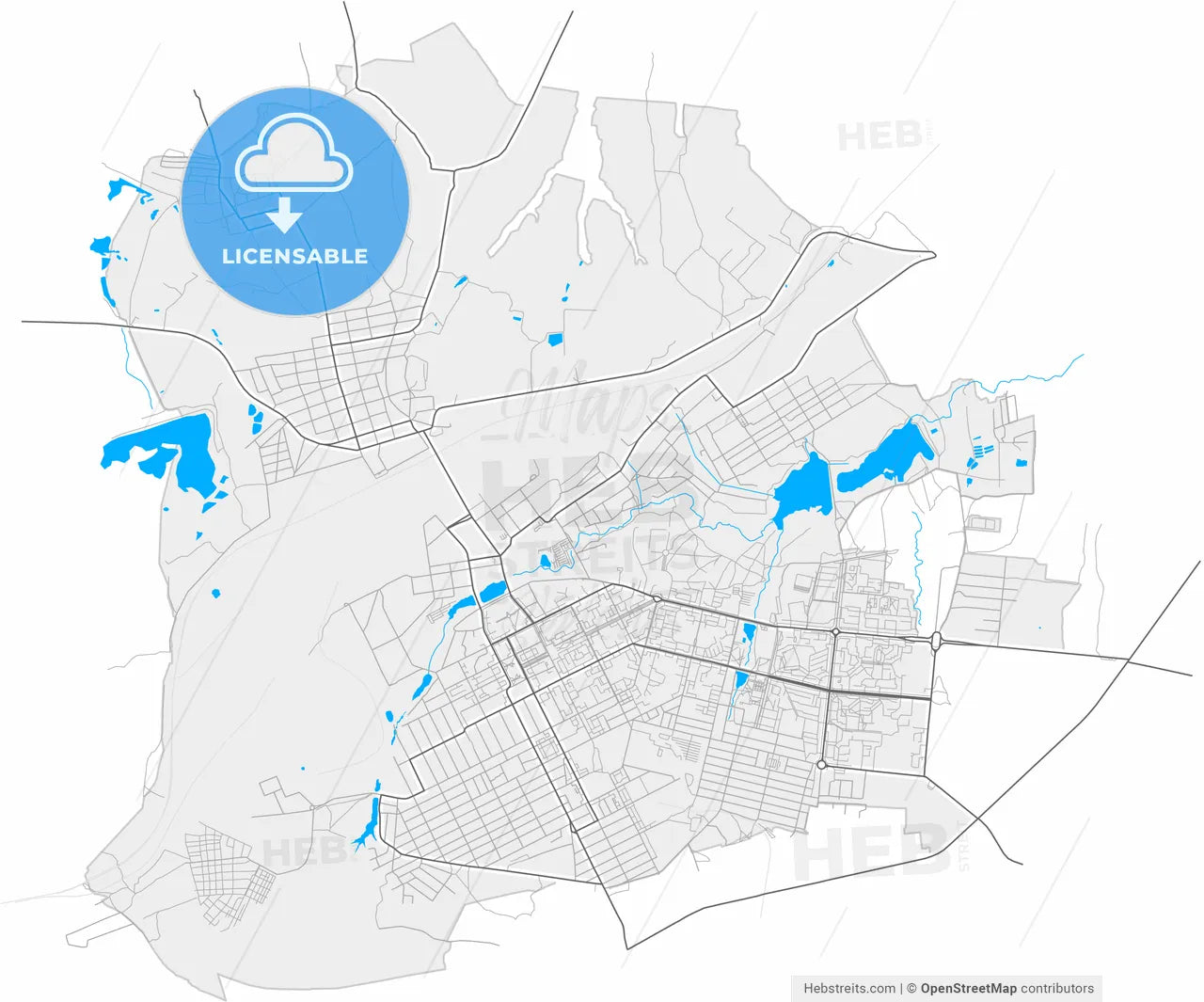 Alchevsk, Luhansk Oblast, Ukraine, high resolution vector map - Instant download PDF and JPG