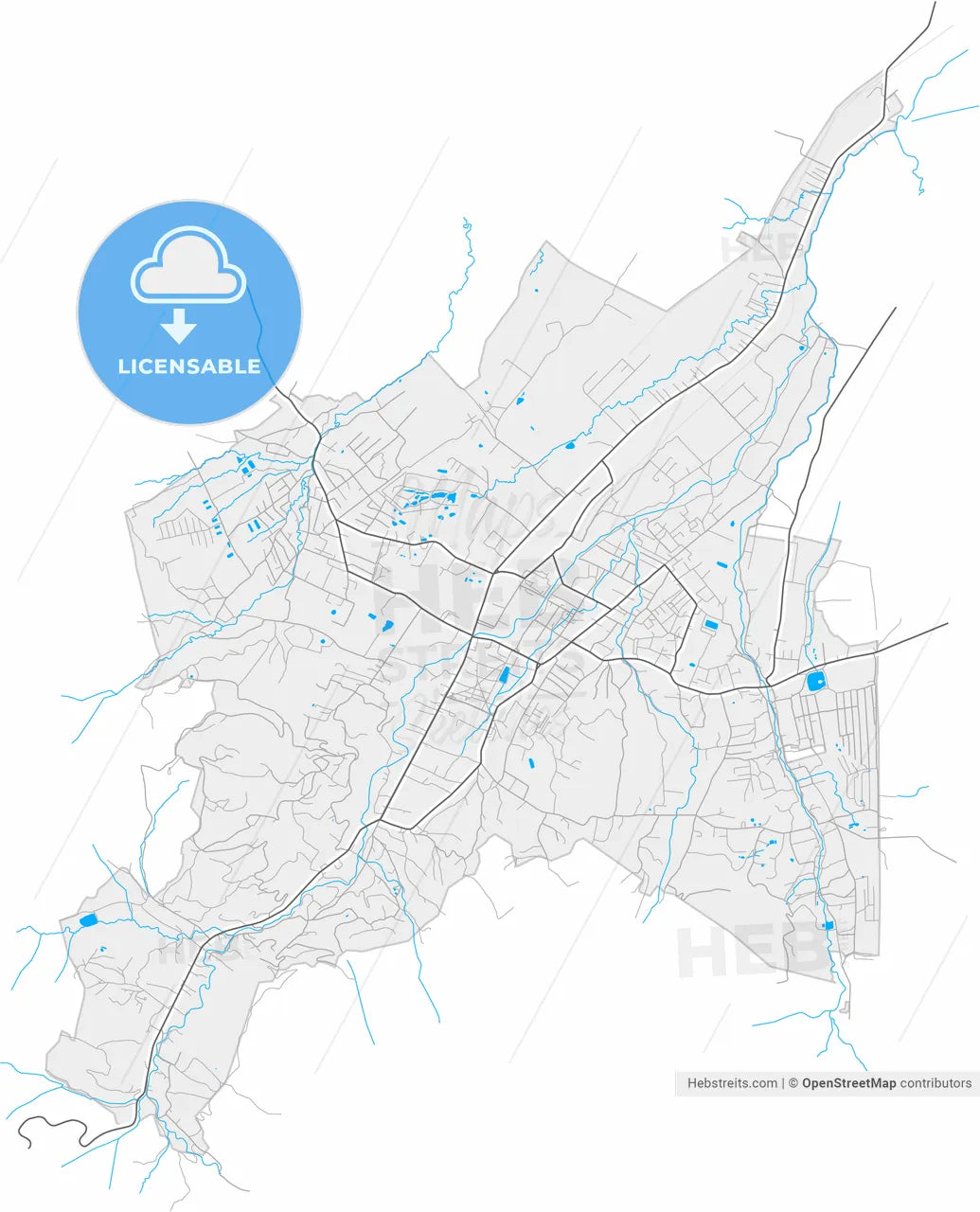 Boryslav, Lviv Oblast, Ukraine, high resolution vector map - Instant download PDF and JPG