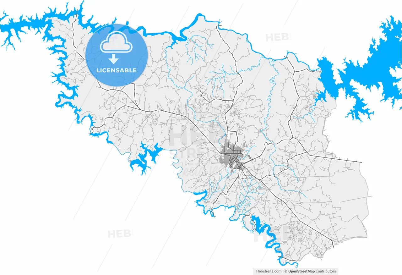 Araguari, Brazil, high resolution vector map - Instant download PDF and JPG