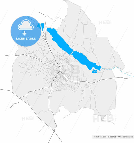 Fălticeni, Suceava, Romania, high resolution vector map - Instant download PDF and JPG
