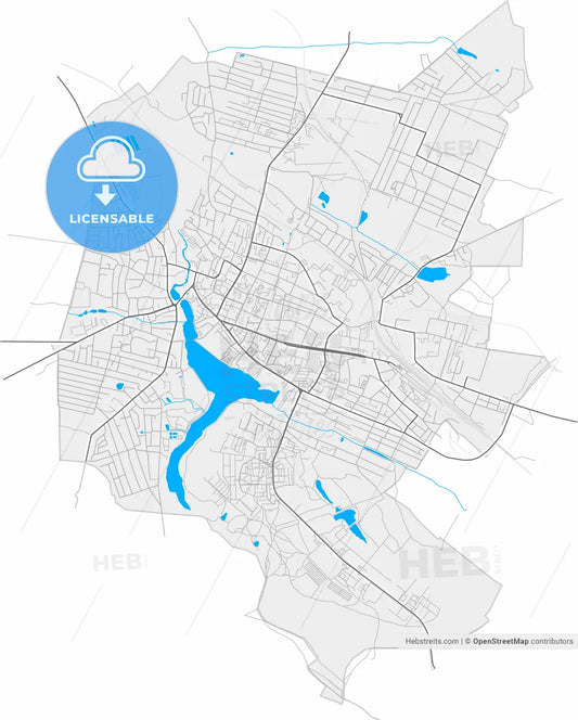 Berdychiv, Zhytomyr Oblast, Ukraine, high resolution vector map - Instant download PDF and JPG