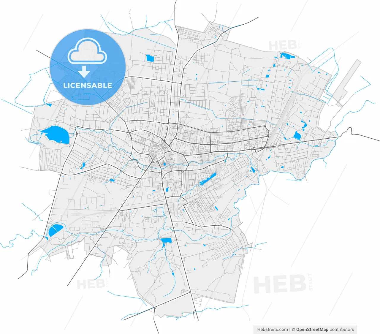 Drohobych, Lviv Oblast, Ukraine, high resolution vector map - Instant download PDF and JPG