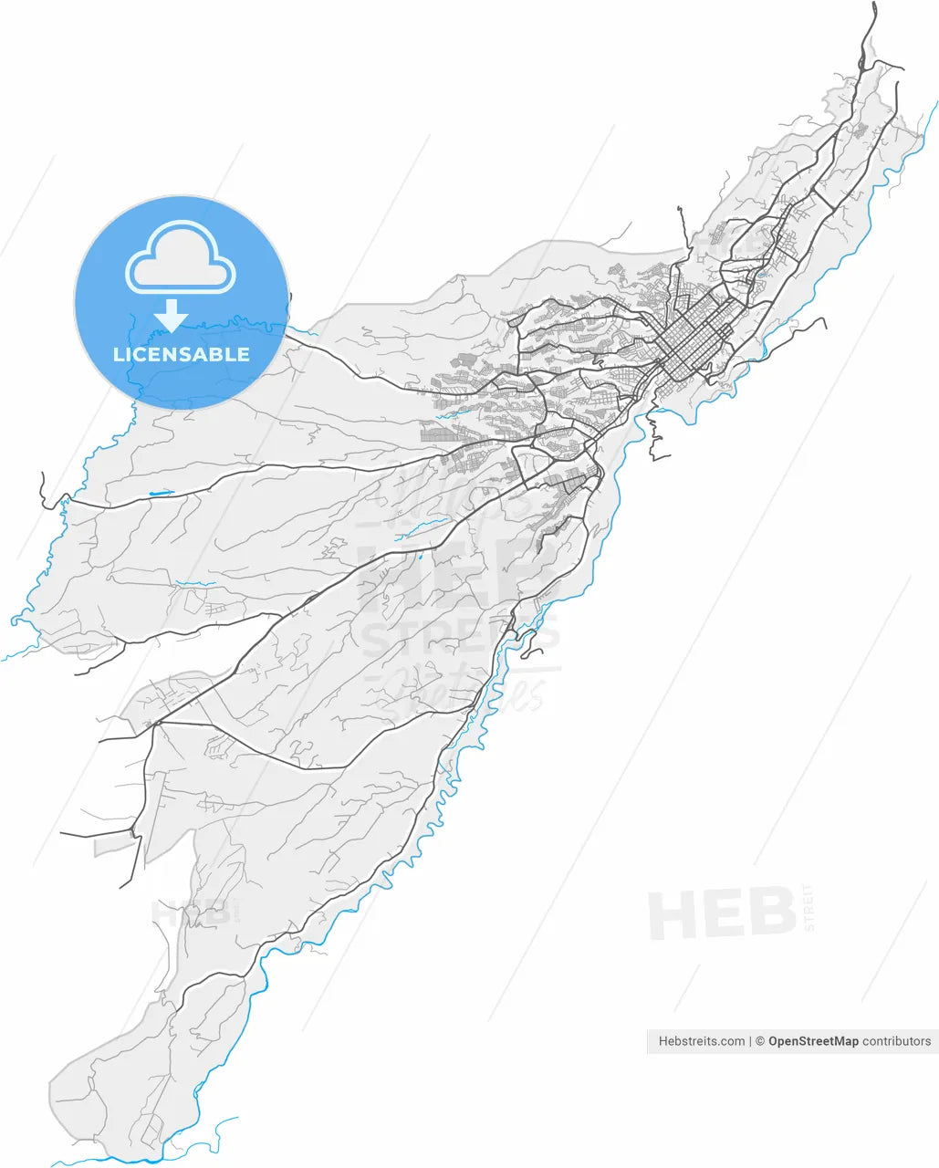 Armenia, Colombia, high resolution vector map - Instant download PDF and JPG