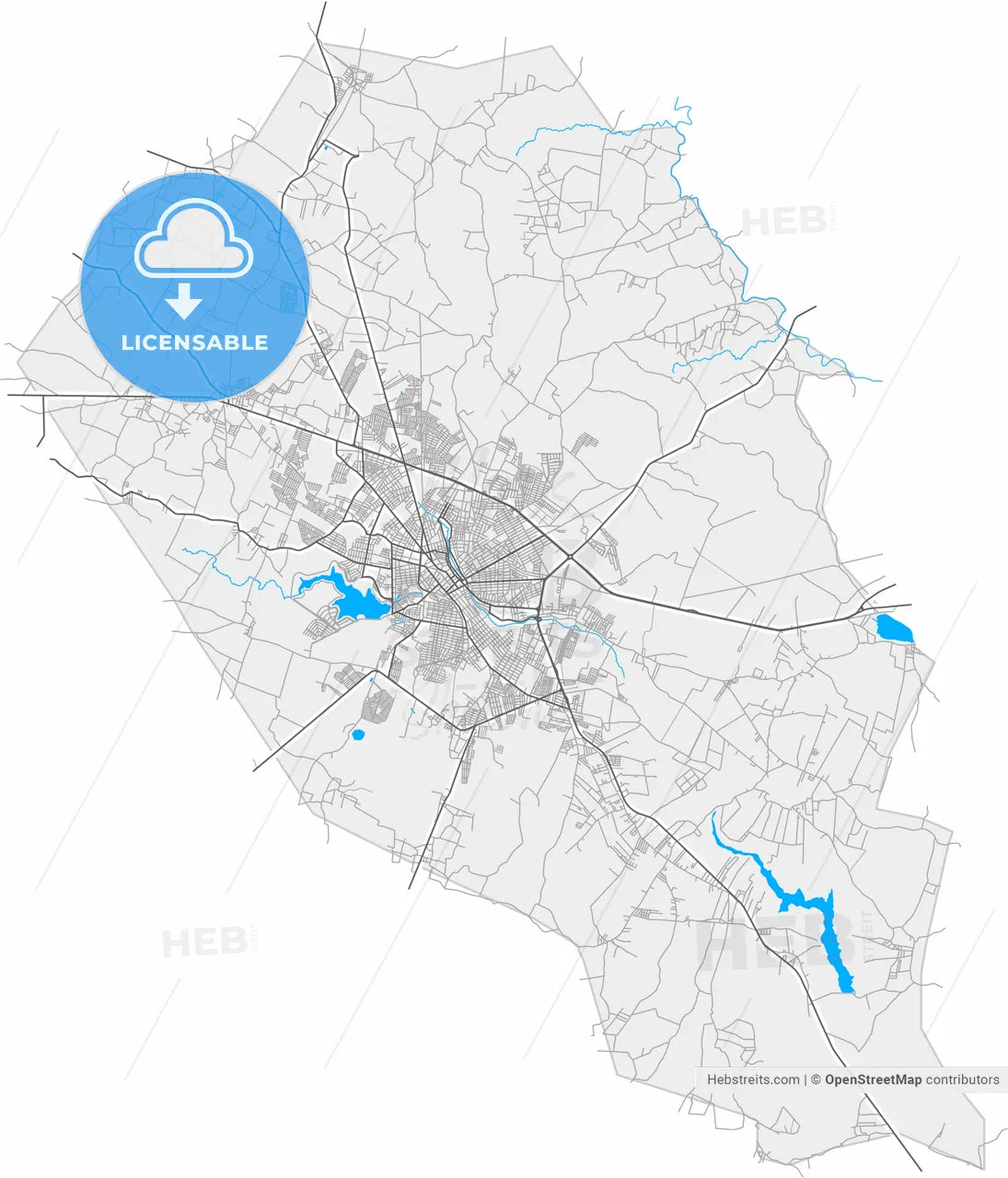 Arapiraca, Brazil, high resolution vector map - Instant download PDF and JPG