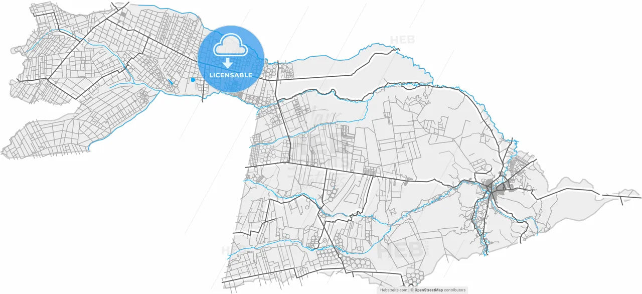 Barreiras, Brazil, high resolution vector map - Instant download PDF and JPG