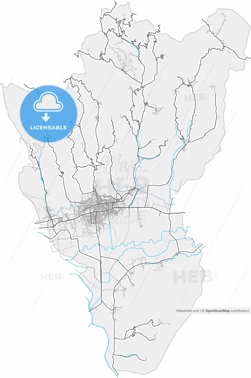 Nazilli, Aydın, Turkey, high resolution vector map - Instant download PDF and JPG